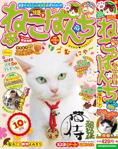 猫侍 玉之丞 江戸へ行く ソフト化 白猫あなごの初出しショットが大量公開 映画ナタリー