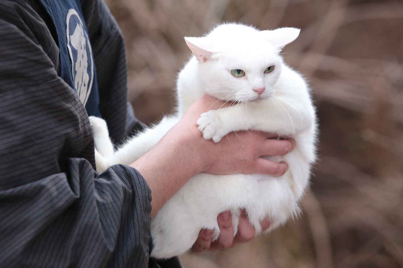 あなご