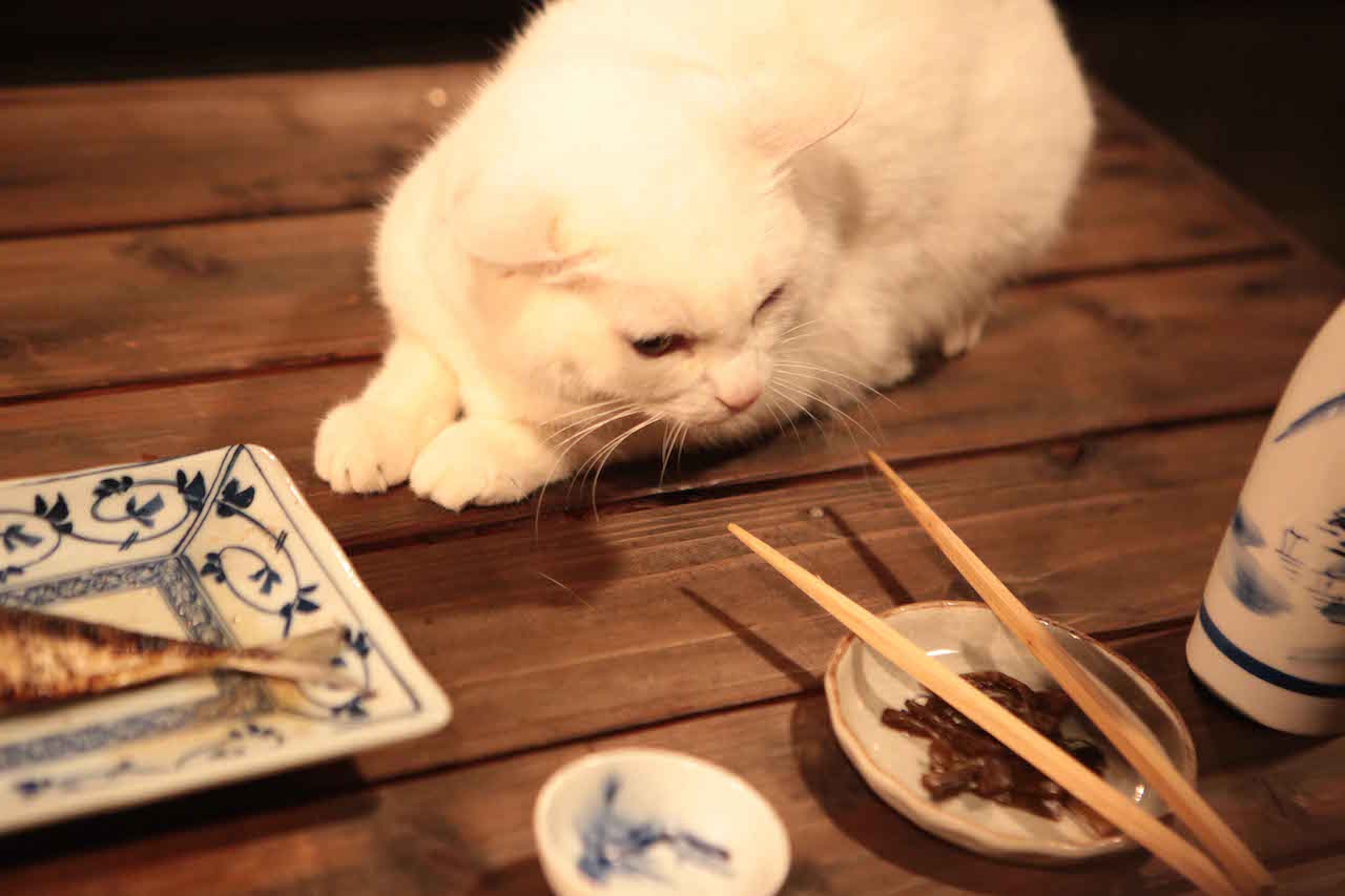 あなご