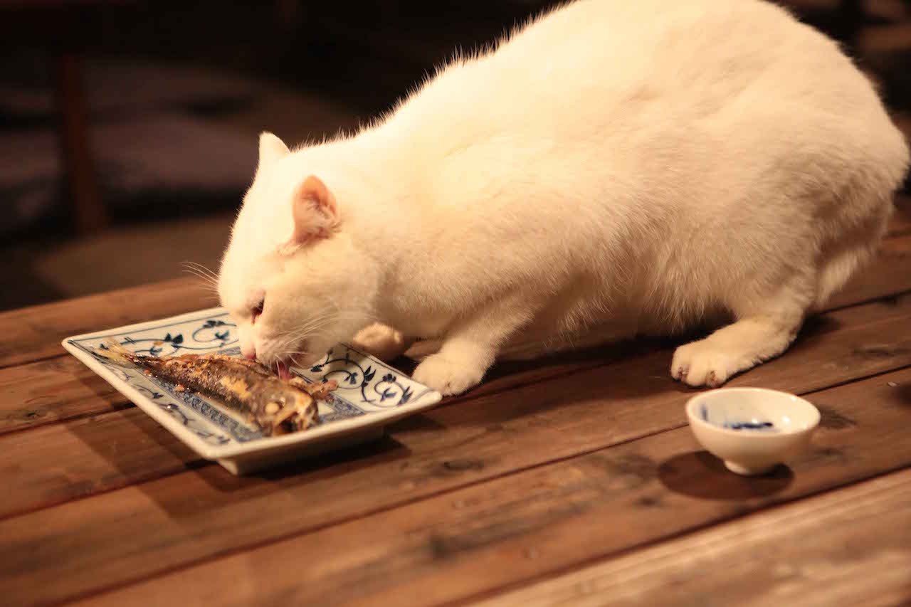 あなご