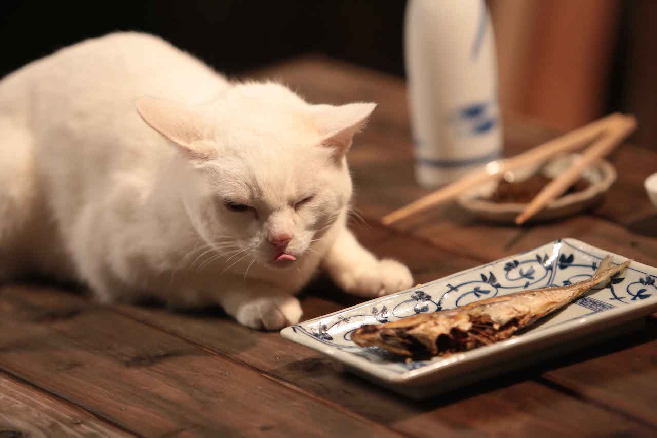あなご