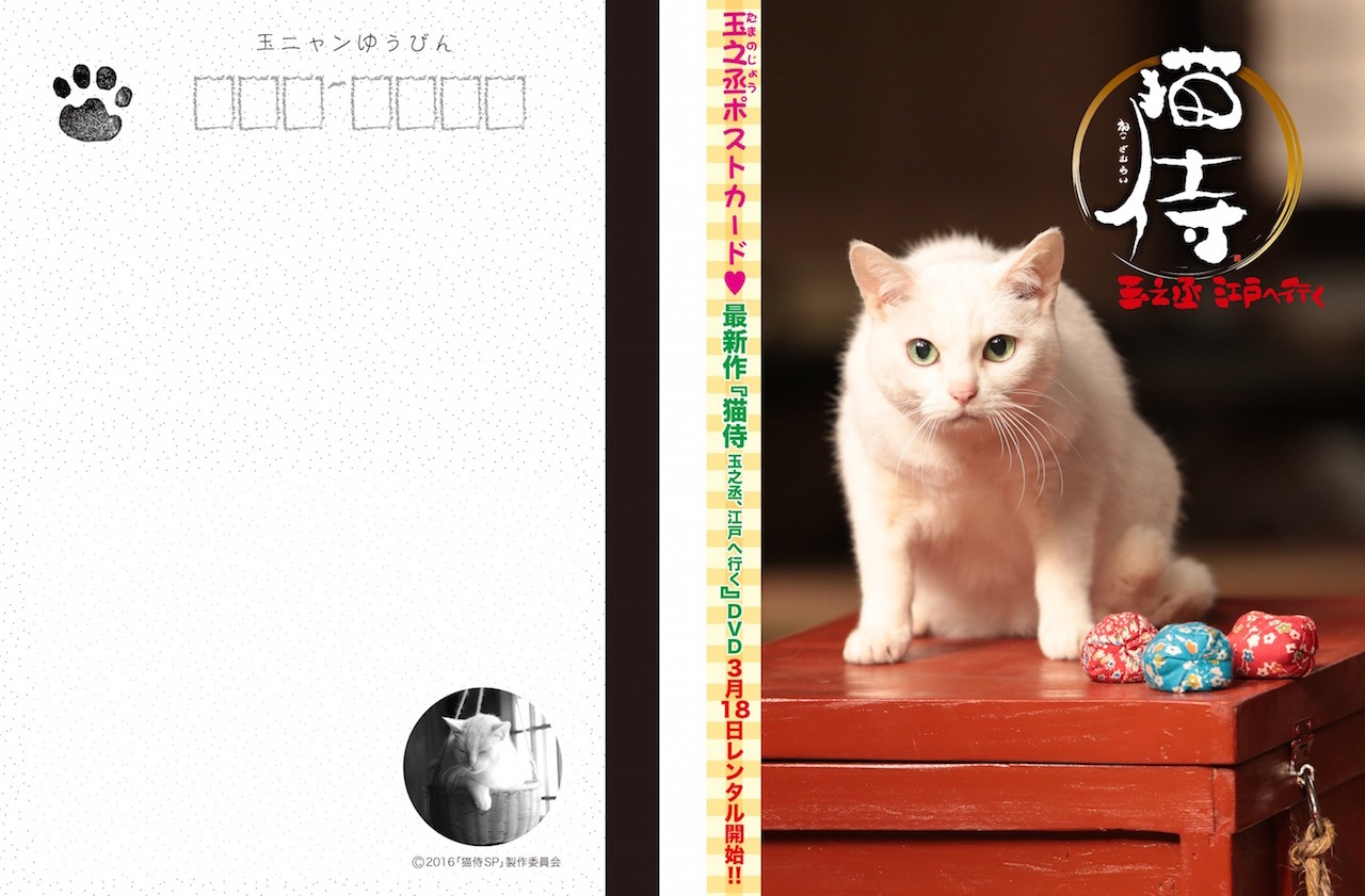 ねこぱんち115号の付録・玉之丞ポストカード。