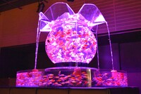 ステージ後方に設置された水槽。