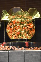 ステージ後方に設置された水槽。