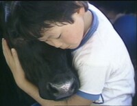 「夢は牛のお医者さん」 (c)ＴｅＮＹ