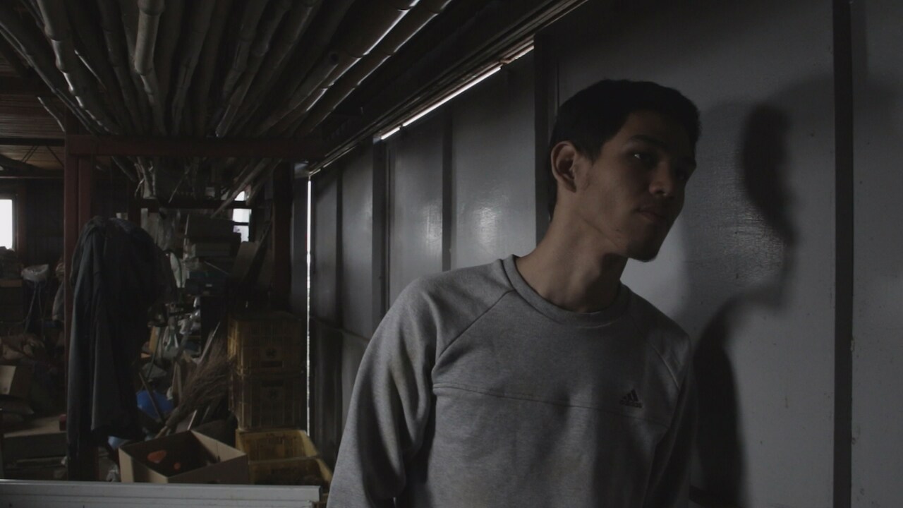 調布でショートフィルムの無料上映会開催、rei harakamiの関連作も