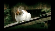 特典のテレビスポット集に収録された映像。(c)TBS
