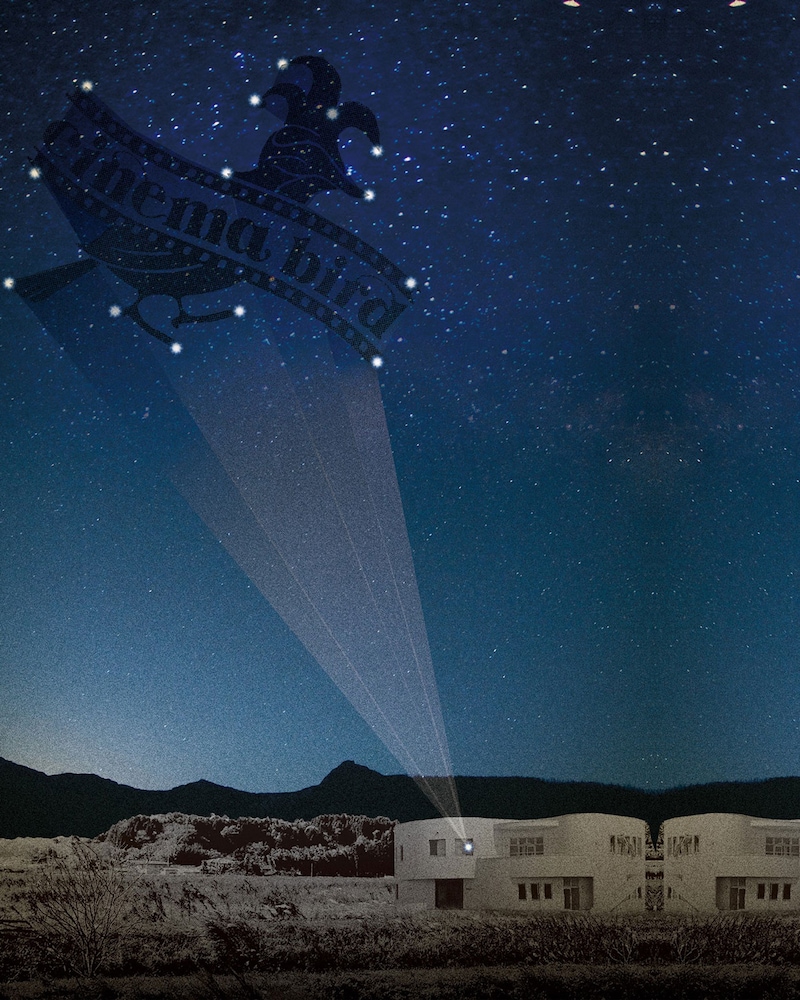 「cinema bird」メインビジュアル