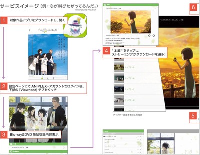 Viewcastのサービスイメージ。