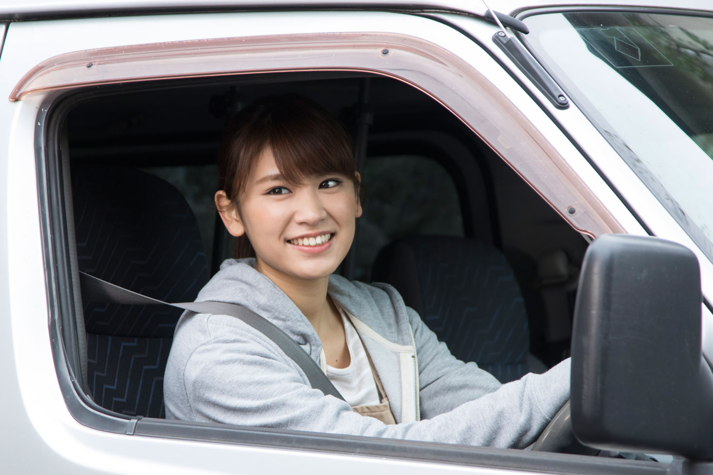 「白鳥麗子でございます！THE MOVIE」