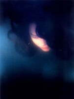 「魚と寝る女」 (c)2000 MYUNG FILMS All Rights Reserved.