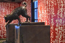 「園子温 展『ひそひそ星』」の様子。