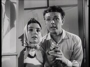 「石の上の花」