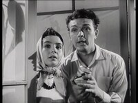 「石の上の花」