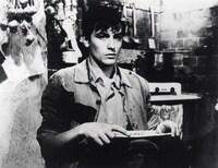 「若者のすべて」