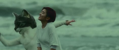 「ひずみ」ミュージックビデオより。