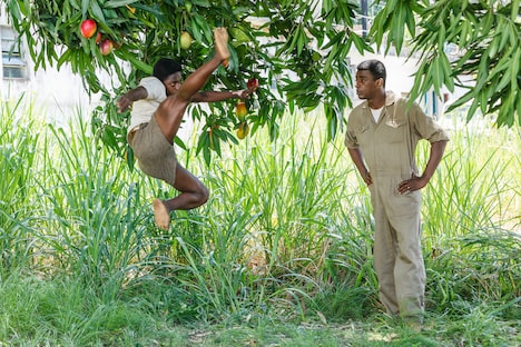 「ペレ 伝説の誕生」