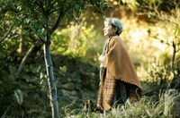 「陽だまりの彼女」 (c)2013「陽だまりの彼女」製作委員会