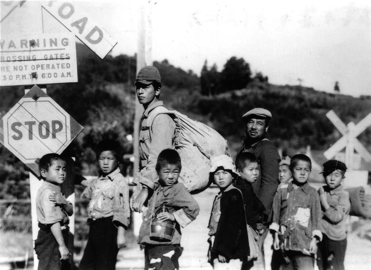 「蜂の巣の子供たち」