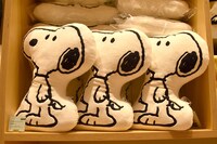 ミュージアムショップBROWN'S STOREで販売されるグッズ。