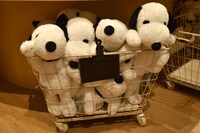 ミュージアムショップBROWN'S STOREで販売されるグッズ。