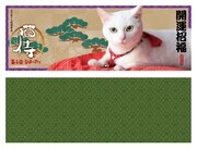 「猫侍 玉之丞、江戸へ行く」DVD封入特典の「玉之丞さまの開運屏風」。