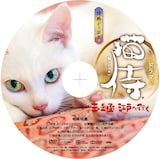 猫侍 スピンオフ特別映像 玉之丞の子猫時代や江戸に運ばれる姿を収録 映画ナタリー