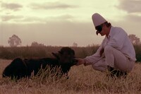 「失われた美」