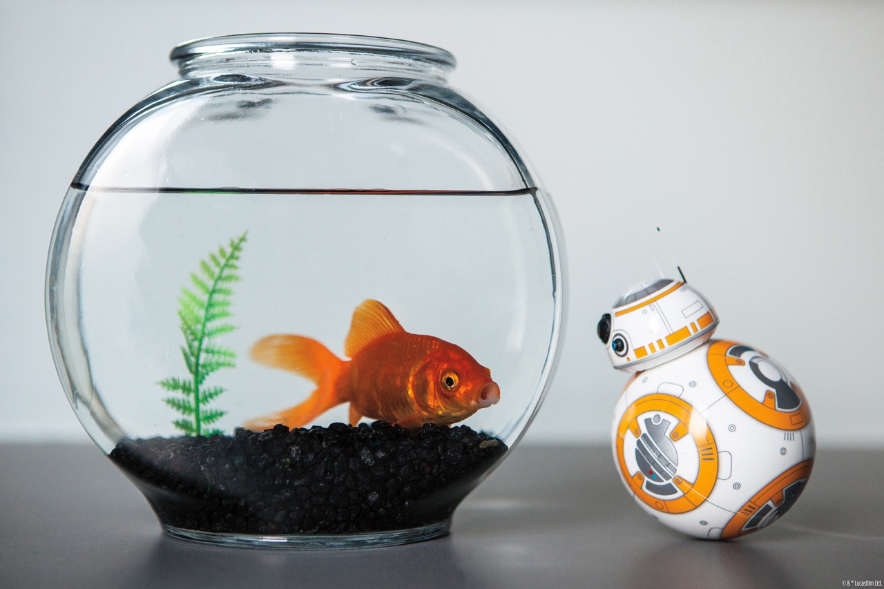 BB-8 by Sphero