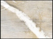 「ホワイトテープ」 (c) TinDrum Animation-The Animation Workshop