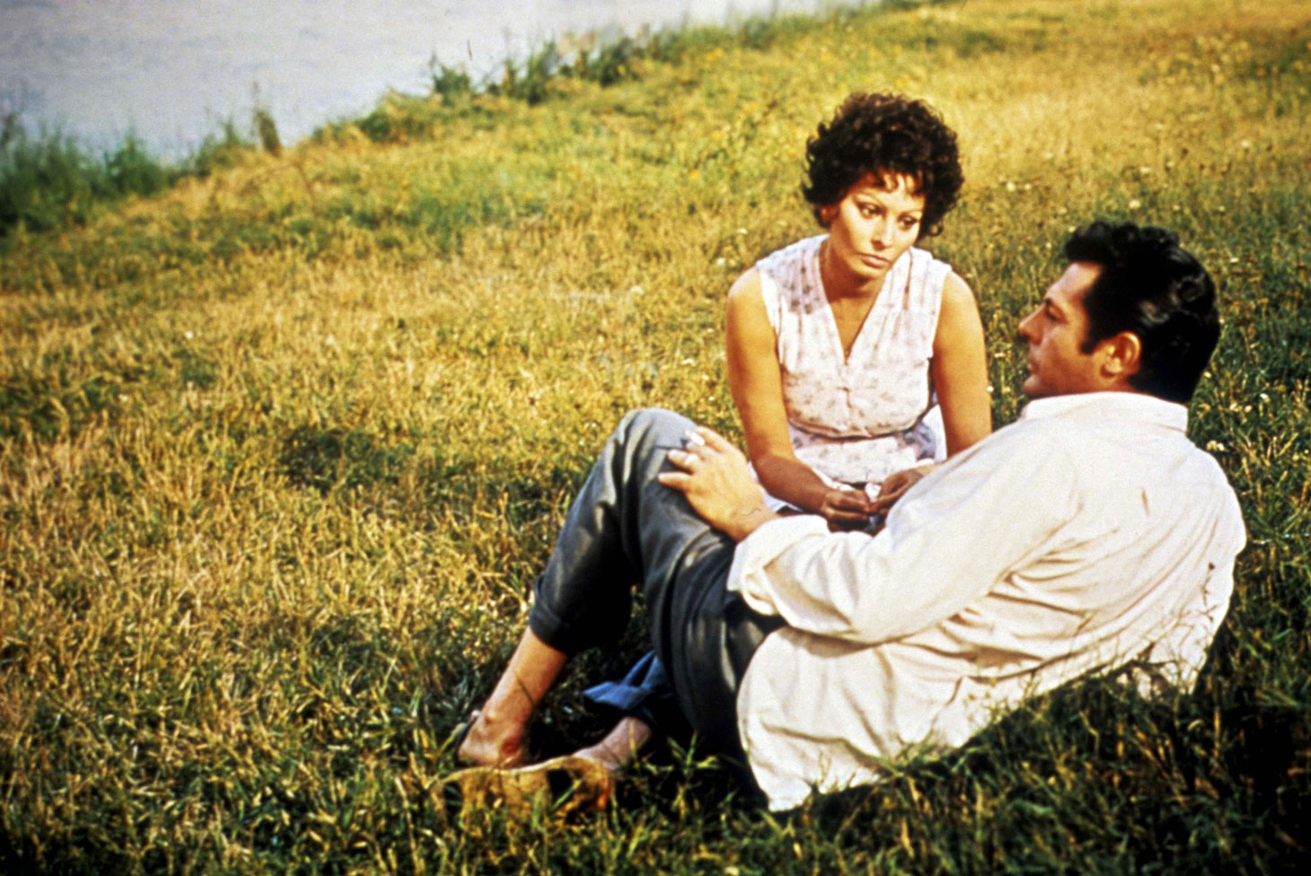 「ひまわり」 (c)1970 - Compagnia Cinematografica Champion (It) - Films Concordia (Fr) - Surf Film Srl - All rights reserverd.