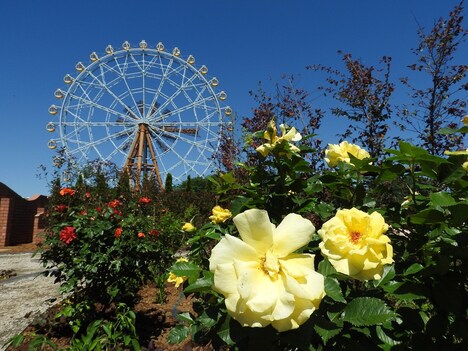 ハートフルガーデン