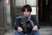 「世界から猫が消えたなら」