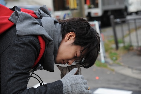 「世界から猫が消えたなら」新写真