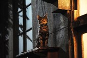 「世界から猫が消えたなら」