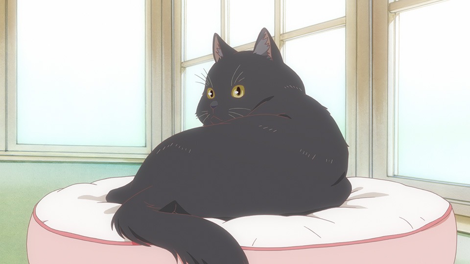 「彼女と彼女の猫 -Everything Flows-」 (c)Makoto Shinkai／CWF・彼女と彼女の猫EF製作委員会