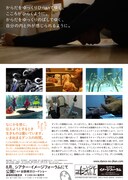 「ダンスの時間」チラシ裏面