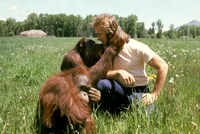 「ダーティファイター／燃えよ鉄拳」 (c)Warner Bros. Entertainment Inc.