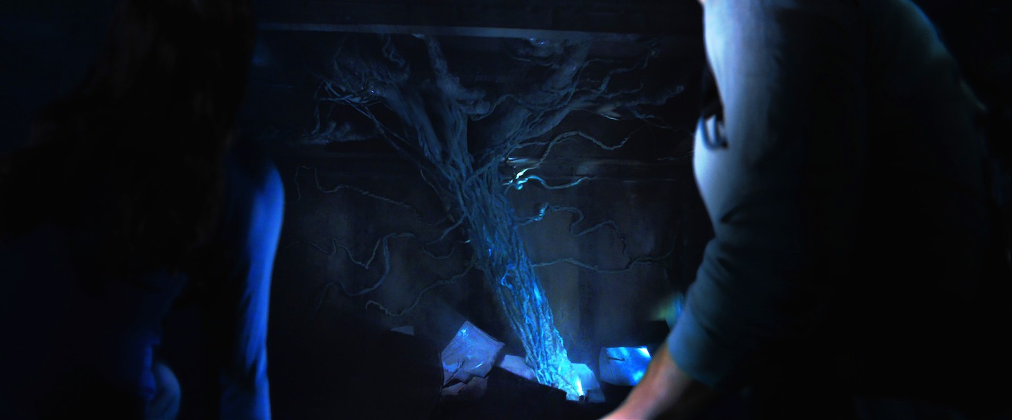 「X-コンタクト」