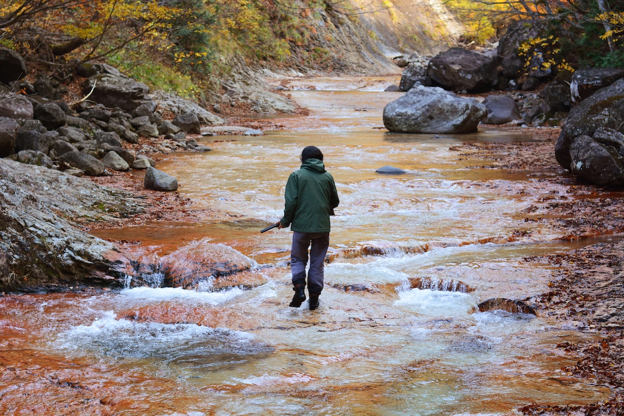 金子雅和監督作「アルビノの木」公開、“白鹿様”駆除を命じられた若者の苦悩描く
