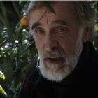 グルジアとアブハジアの紛争描く「みかんの丘」「とうもろこしの島」9月公開