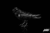 【モンド アート・コレクション】1/6スケールフィギュア アルフレッド・ヒッチコックに付属するカラス。