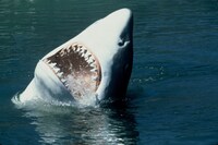 「ディープ・ライジング」 (c)2000 NU IMAGE,INC. ALL RIGHTS RESERVED