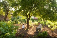 「日本からの贈り物」