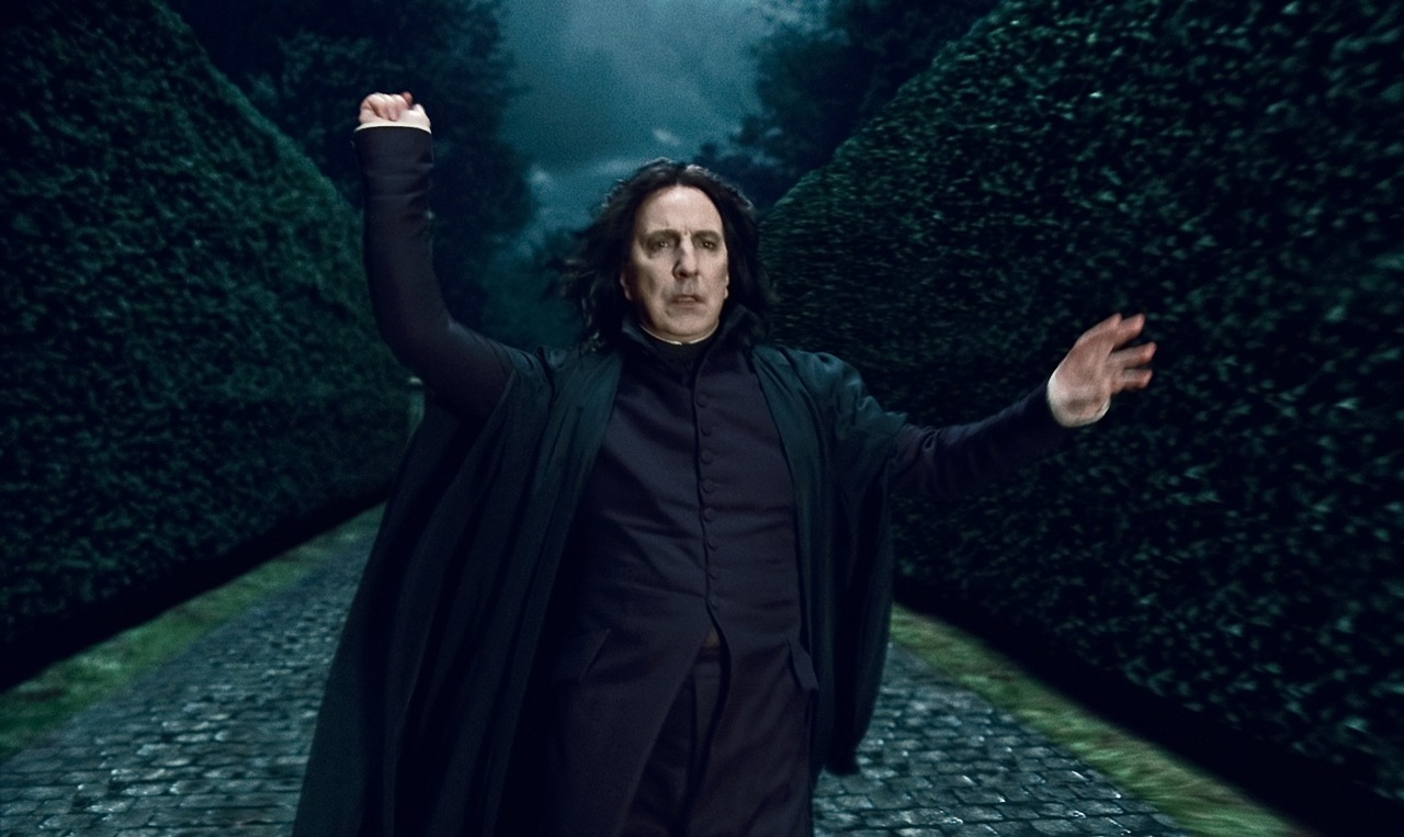 「ハリー・ポッターと死の秘宝 PART1」 TM & (c)2010 Warner Bros.Ent.,Harry Potter Publishing Rights (c)J.K.R.