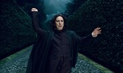 「ハリー・ポッターと死の秘宝 PART1」 TM & (c)2010 Warner Bros.Ent.,Harry Potter Publishing Rights (c)J.K.R.