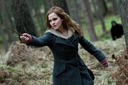 「ハリー・ポッターと死の秘宝 PART1」 TM & (c)2010 Warner Bros.Ent.,Harry Potter Publishing Rights (c)J.K.R.