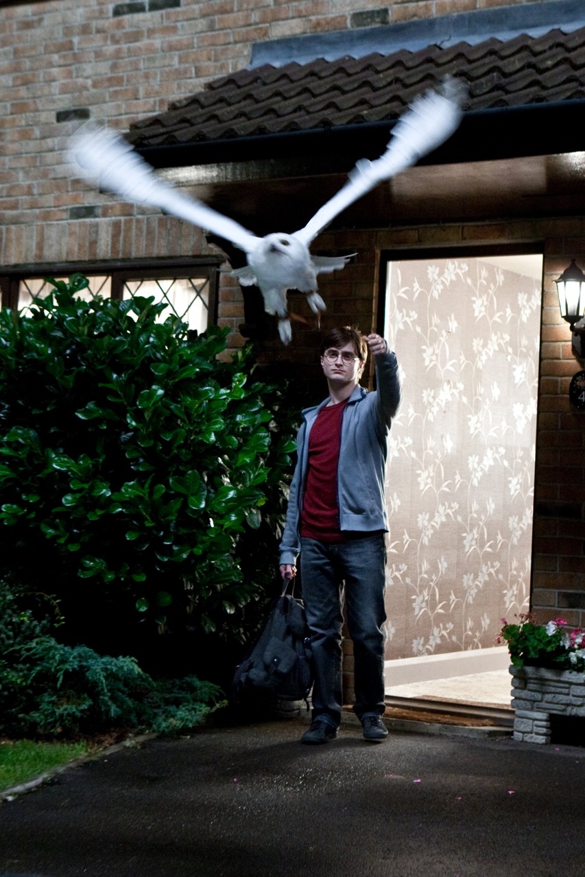 「ハリー・ポッターと死の秘宝 PART1」 TM & (c)2010 Warner Bros.Ent.,Harry Potter Publishing Rights (c)J.K.R.