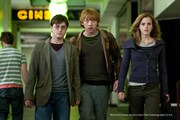「ハリー・ポッターと死の秘宝 PART1」 TM & (c)2010 Warner Bros.Ent.,Harry Potter Publishing Rights (c)J.K.R.