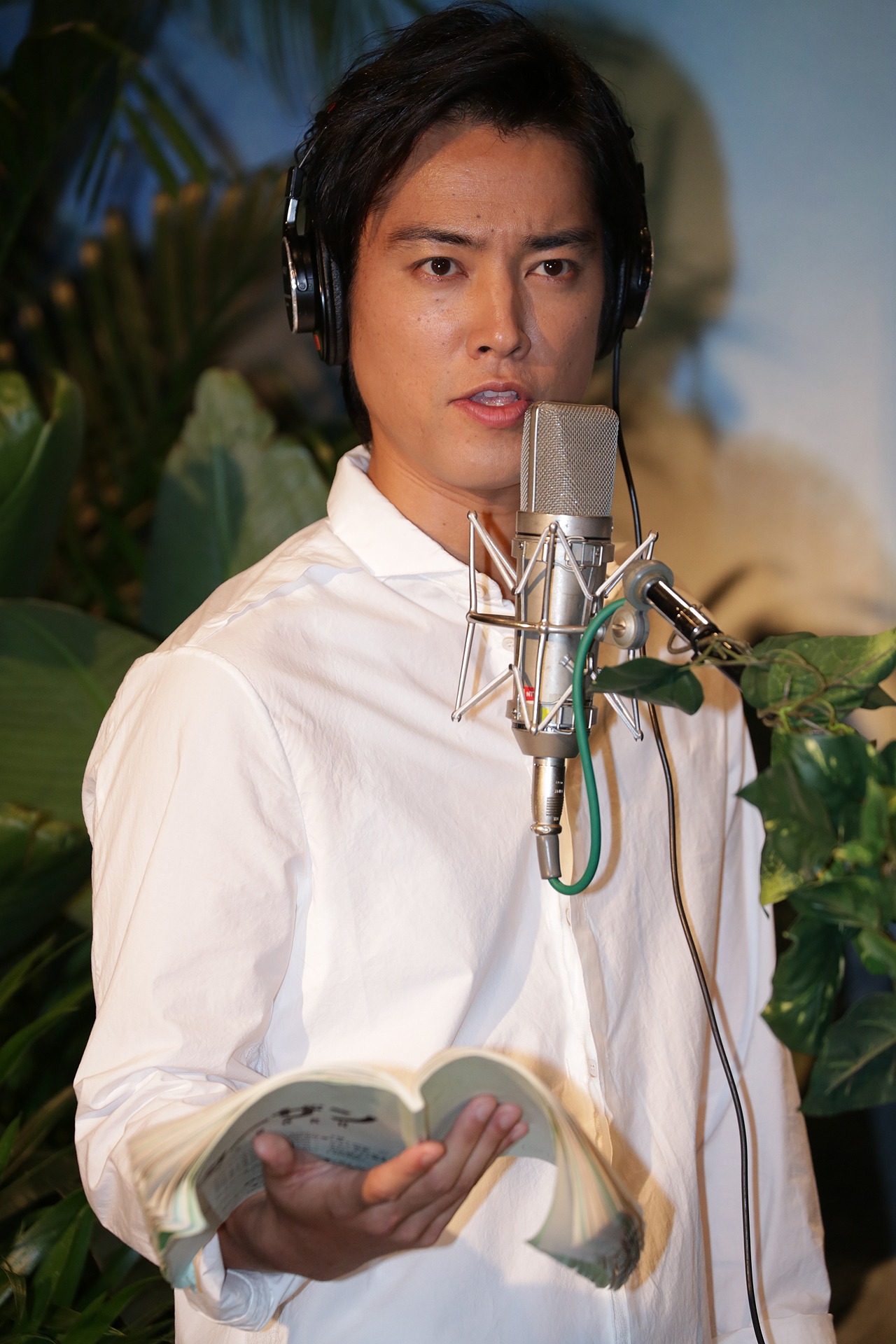 桐谷健太